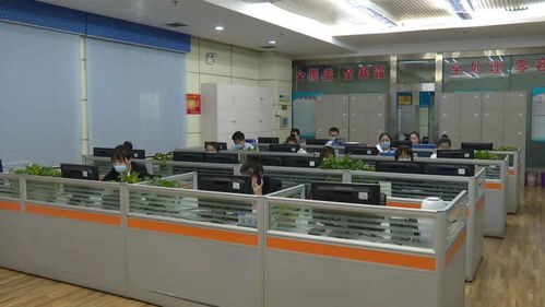 石河子市优化数字城管体系，数字技术赋能城市服务更便捷高效